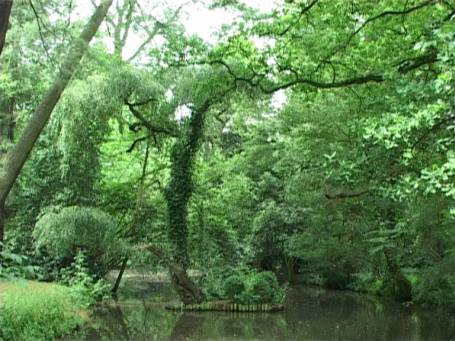 Museum Insel Hombroich : Parklandschaft